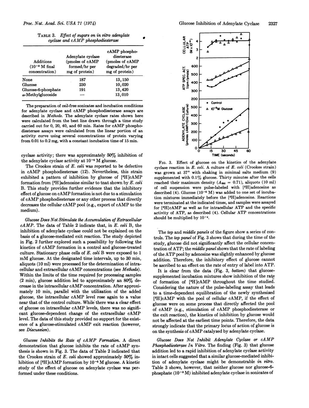 Proc. Nat. Acad. Sci. USA 71 (1974) Glucose Inhibition of Adenylate Cyclase 2327 TABLE 3.