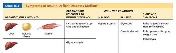 Diabetes Mellitus (DM) Table 16.
