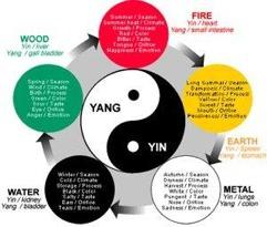 Guiding principles balance of yin and yang (polar opposites & cannot exist w/o each other) 5 elements (fire,earth,