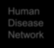 In conclusion, the integrative analysis of human disease networks, WM