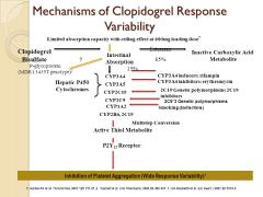 Clopidogrel The efficacy of clopidogrel relies on its conversion (by the CYP2C19 enzyme) to its active metabolite Lansoprozole and protonix may be safer Newer Oral P2Y12 inhibitors Prasugrel and