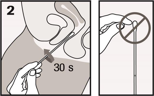 2. COLLECT: Insert the swab about 5cm (2 inches) into the vaginal opening.