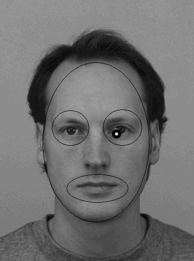 Example Face Scanning Patterns