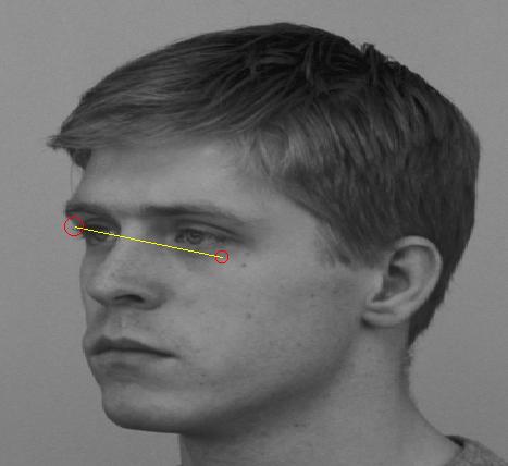 Face scanning patterns using iview