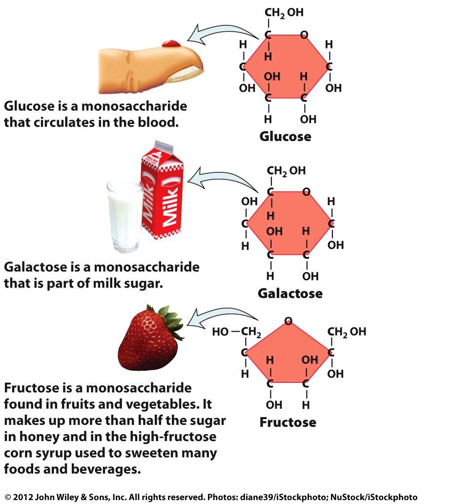 Disaccharides vs.