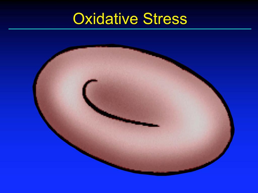Plasma Precursor Pool Glu Cys Gly Oxidative Stress toxin conjugation GSH