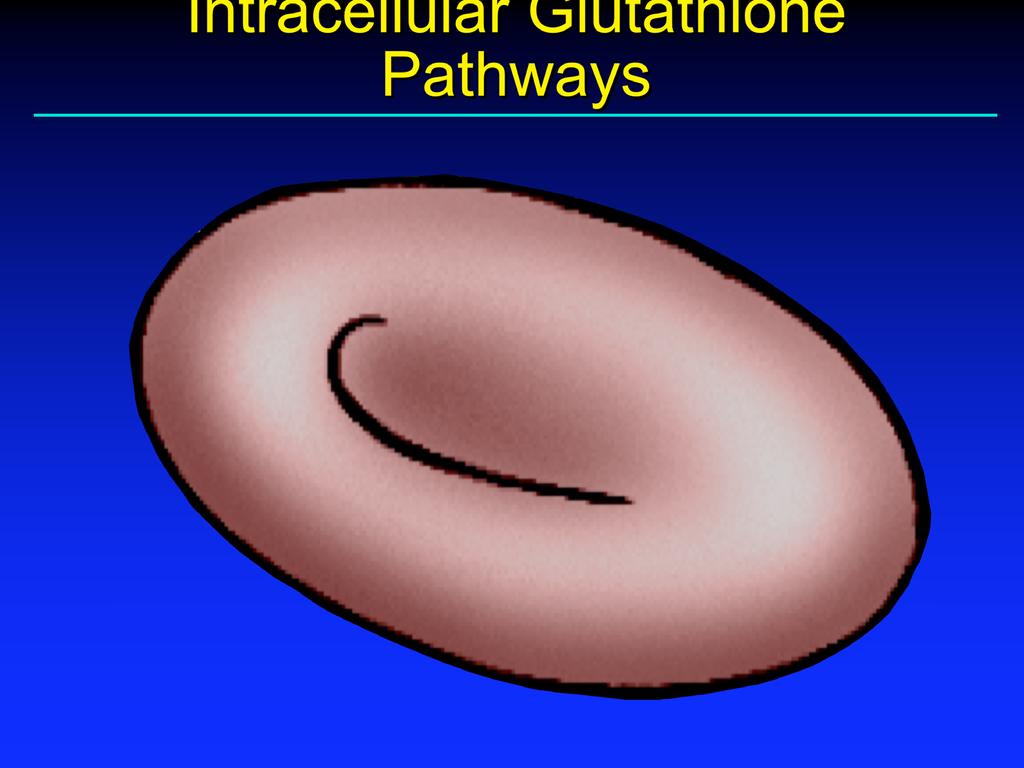 Intracellular Glutathione Pathways Plasma Precursor Pool Glu Cys Gly -glutamylcysteine synthetase