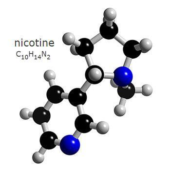 Nicotine and related alkaloids E-cigarettes contain very low levels of carcinogenic alkaloid NNK Trace levels of nornicotine, anatabine, and anabasine (1-2 % of nicotine) Variable doses of nicotine