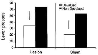 2.3 Motivation Fig. 13: Incentive learning in hippocampal rats.