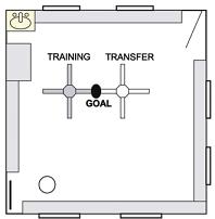 Right: New position of the pool (grey circle): the absolute position of the platform is the same (black square) but rats search for the platform in a relative position with respect to the pool (grey