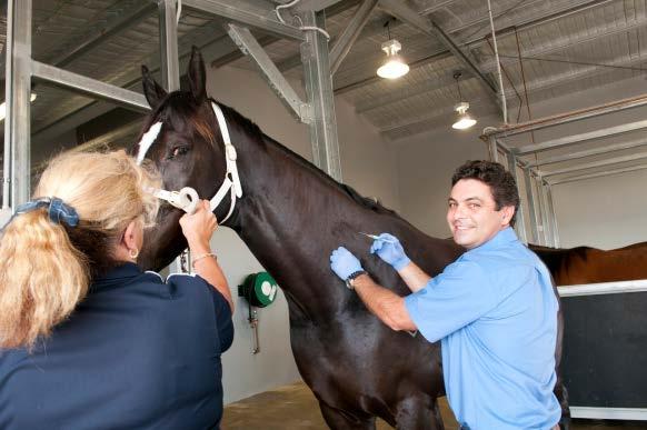 Equivac HeV Since 2012 International collaboration Effective way of reducing infection in horses One Health: reduces human infection Source: Warren A.