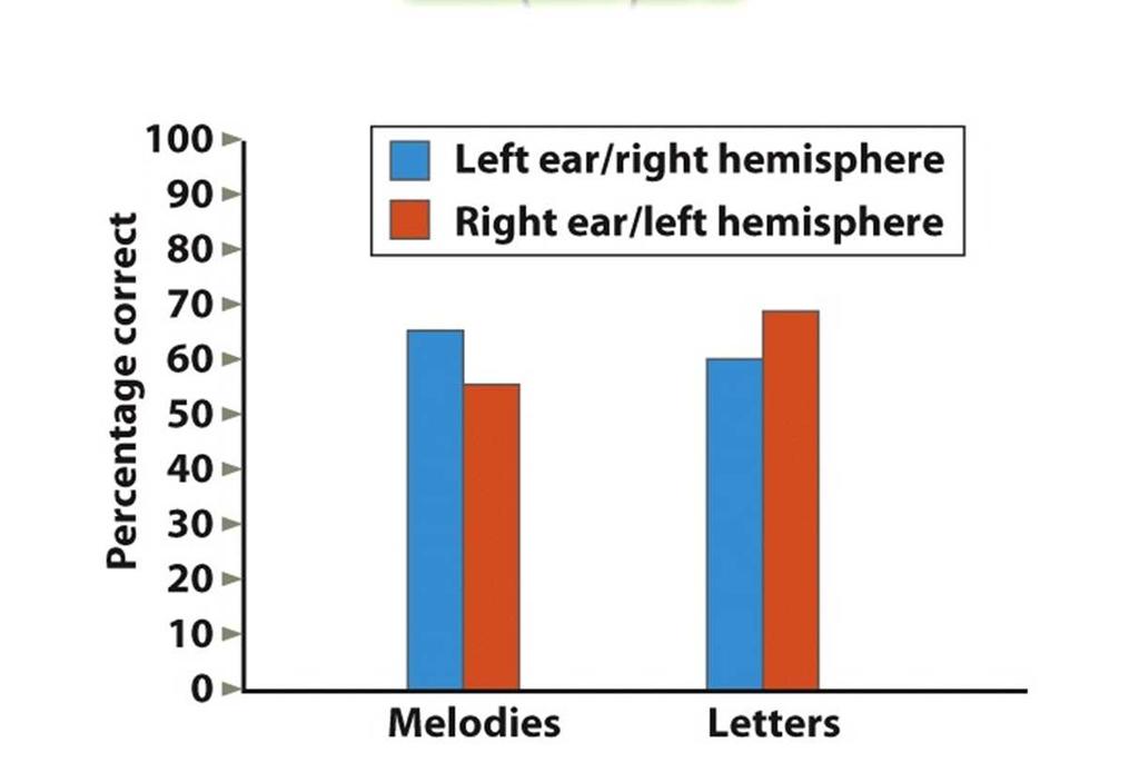 When given a recognition memory test, participants were more accurate on the letters