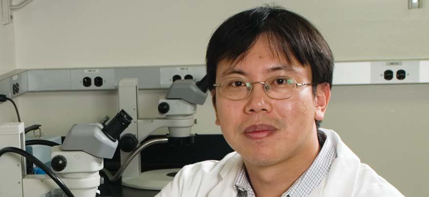 Faculty 53 Hui Sun, PhD Assistant Professor of Physiology and Ophthalmology Associate Member of the Jules Stein Eye Institute Research Summary Macular Degeneration Etiology; Mechanism of Vitamin A