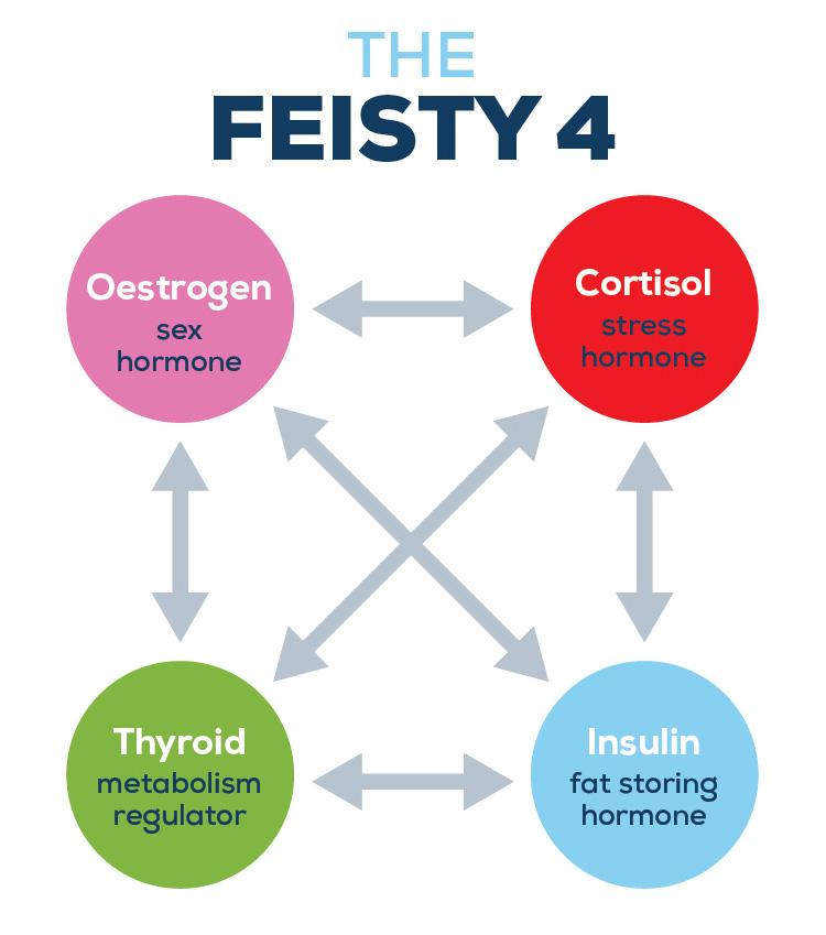 Hormone imbalance symptoms How do you know if you have a hormone imbalance? Check out your Feisty 4!