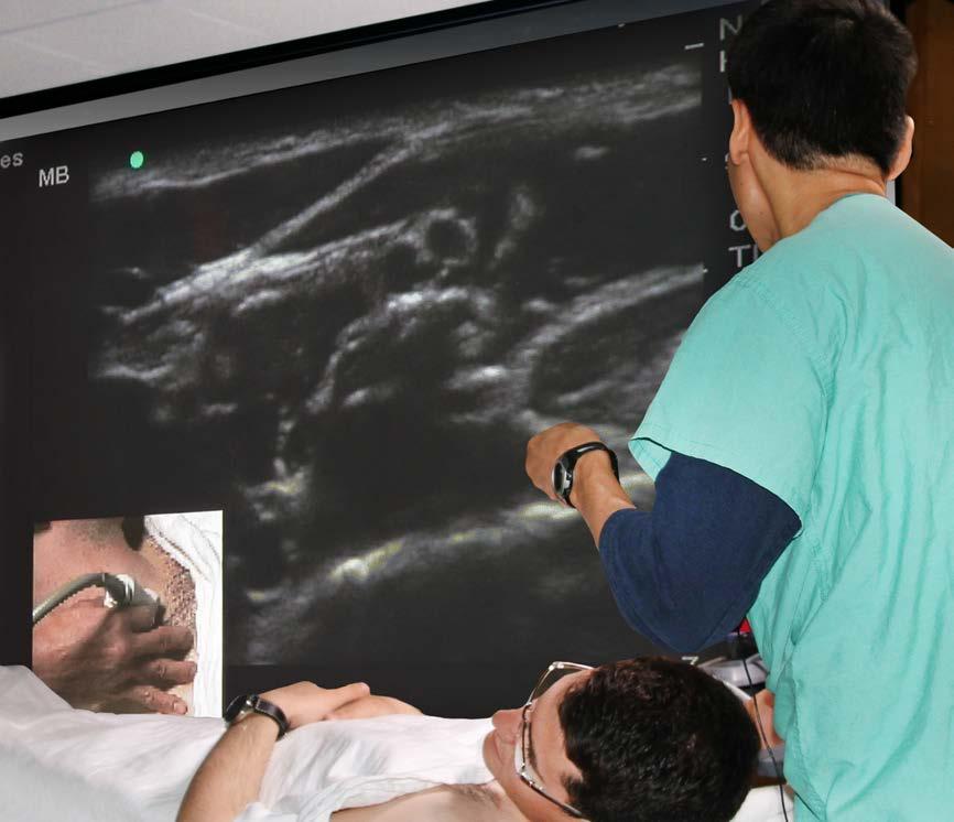 Highlights Basic and advanced learning tracks tailored to your needs Hands-on practice of ultrasound imaging on volunteers, and regional anesthesia/vascular access procedures on cadavers Multi-media