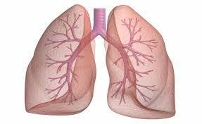 Clinical Signs and Symptoms Respiratory distress Tachypnea Tachycardia