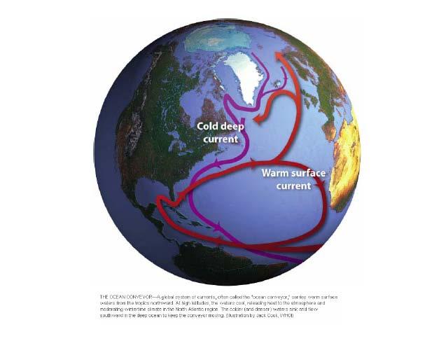Wind drives the surface currents, but density drives the deep currents The Gulf stream delivers