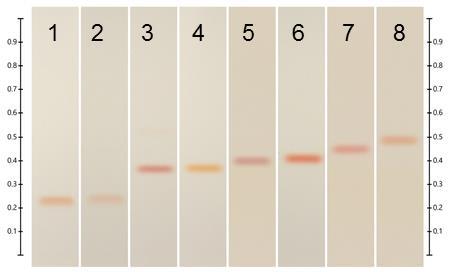 Fig. 2 HPTLC chromatograms after derivatization with FBS (method 1) under white light; tracks 1-8: standards (CBDA, THCA, CBC, CBG, CBN, THCV, THC, CBD with increasing R F