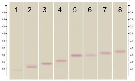 3 HPTLC chromatograms after derivatization with Ehrlich (method 2) under white light; tracks 1-8: standards (THCA, CBC, THC, CBN, THCV, CBDA, CBD, CBG with increasing R F