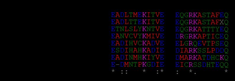 Figure S4. Multiple protein alignment of 2 missense mutations in the TEX11 amino acid sequence.