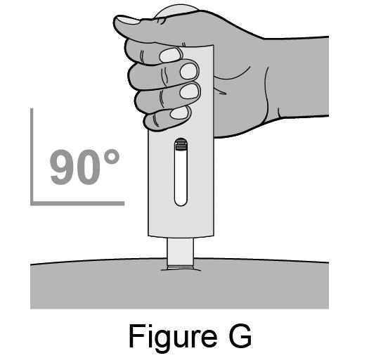 o see that the purple indicator has stopped to make sure that the dose is complete. See Figure G. Position the autoinjector straight over the injection site at a 90-degree angle.