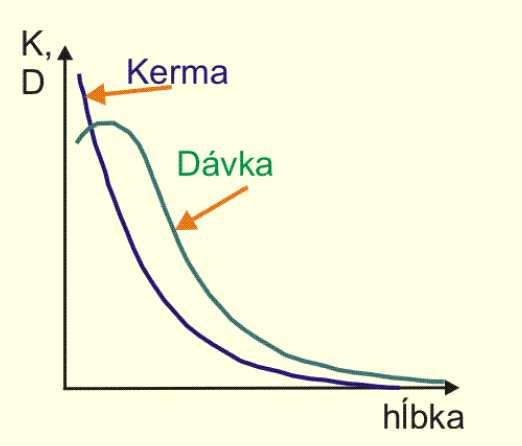 The Difference Between The Absorbed Dose And The Kerma (2) Kerma is defined only for indirectly ionising radiation Absorbed dose Depth Kerma and