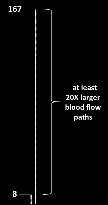 Comparison of Blood Flow Pathway Sizes U s i n g a R e d B l o o d C e l l f o r S c a l e 6-8 μm Gap Size # of Red Blood Cells Full MagLev 1,000μm 167 Hydrodynamic Bearing