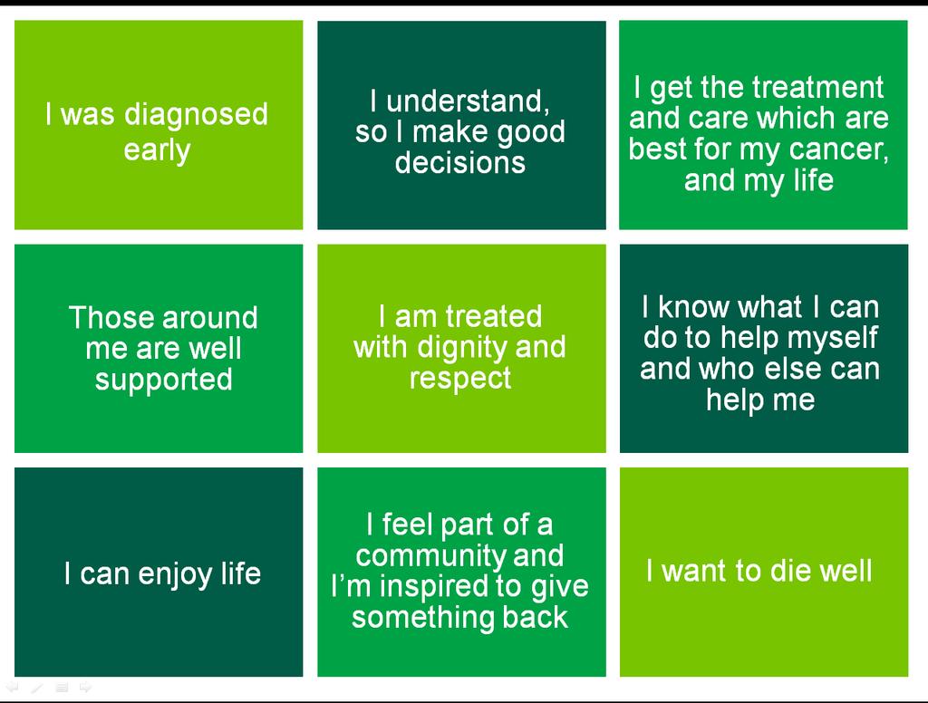 Macmillan Nine Outcomes Delivering the Macmillan nine outcomes are key to the work of MCIP and