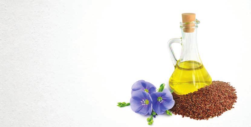 LINSEED OIL Rich source of omega-3 fatty acids (content up to 60%) and omega-6 fatty acids,