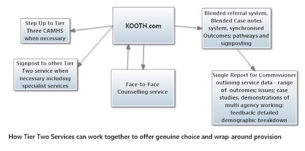 people KOOTH services embedded in