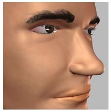 Unit 1: Normal Nose Anatomy Normal Nose Anatomy - External Nose The nose is the most prominent structure of the face.