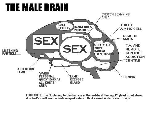 Sexual Desire Disorder Sexual Aversion Disorder Male