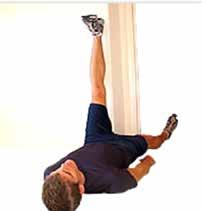 SERRATUS WALL SLIDE Place your forearms and hands along a wall so that your elbows are bent and your arms point towards the ceiling.