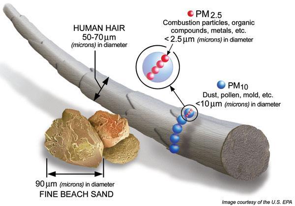 How small are these particles? Particles between 10 µm and 2.5 µm, often described as coarse PM (PM10), are more associated with road dust and salt (mostly primary).