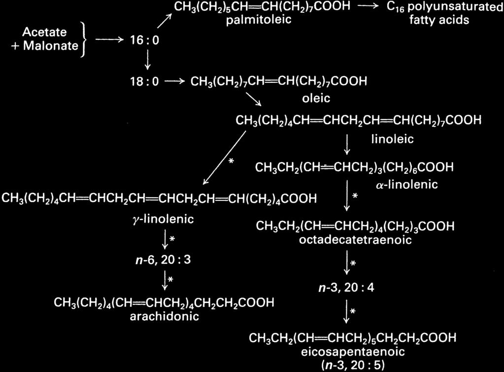 *à 22:5 *à 22:6 docosahexaenoic Major pathways for polyunsaturated fatty acid synthesis in plants and algae.