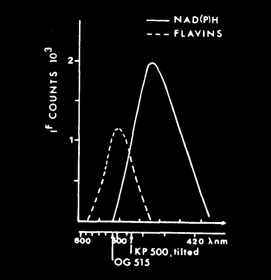 Evidence has shown that the maximum of absorbance of NADPH is at the wavelength about 340nm. Only nearly 334 nm, NADPH is almost identical and nearly independent of temperature.