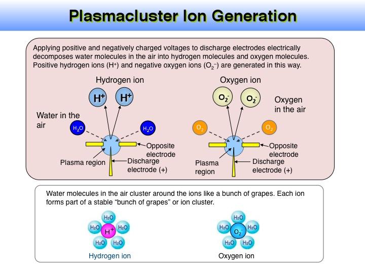 Overview of Plasmacluster