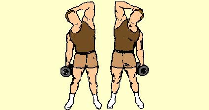 3) Hand on Head Dumbbell Side Bend Obliques Stand erect with your feet about 16" apart and grasp a dumbbell in your right hand. Your palm will be facing your upper thigh.