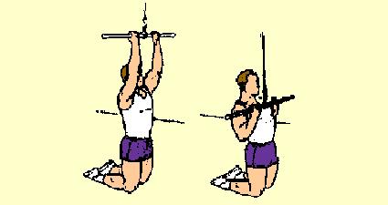 9) Reverse Close Grip Front Lat Pull Down Lats Use a reverse hand grip on a lat machine bar keeping the hands about 8" apart.