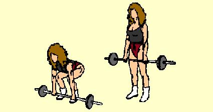 10) Barbell Dead Lift Buttocks, Thighs, Lower Back Place barbell on floor in front of you. Keep feet 16" apart. Bend down and hold bar just outside of knees. Keep knees bent, back straight, head up.