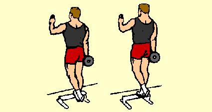 Hold wrist roller with both hands, palms down. Extend arms straight out. Roll weight up by curling right hand over and down, then left hand over and down. Keep arms parallel to floor.