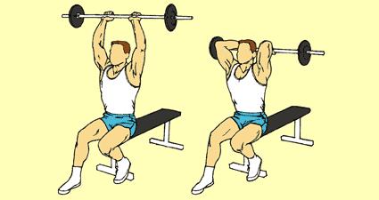 10) Seated Close Grip Barbell Triceps Curl Triceps Hold barbell with hands 6" apart, palms down. Sit at end of bench, feet firmly on floor, back straight, head up.