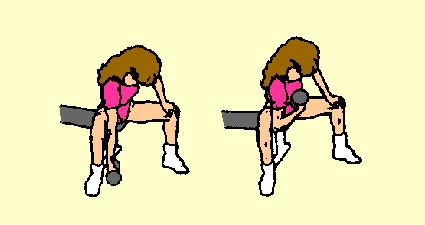 Bend slightly forward and place left hand on left knee. Curl dumbbell up in semicircular motion to shoulder height. Do not let upper arm rest against inner thigh at all.