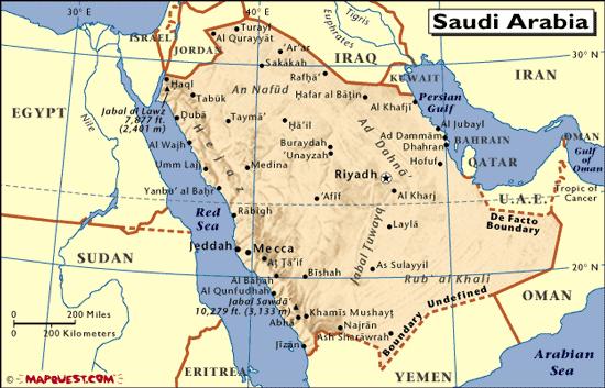 RVF in Saudi Arabia Overview RVF reported in September, 2000 in the livestock in southwest RSA following the confirmation of human cases RNA sequencing of the virus from KSA indicates that it is