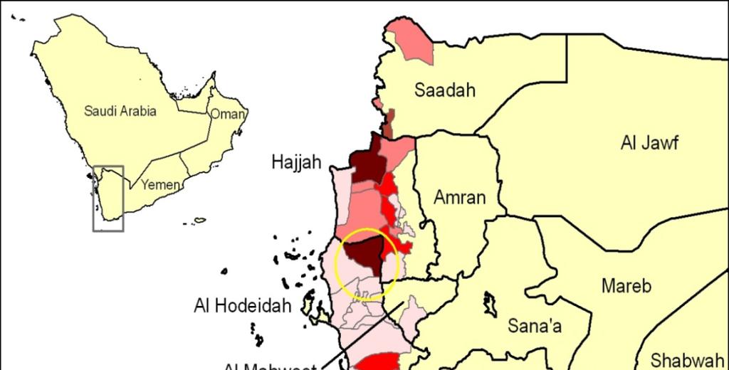 RVF in Yemen Overview First occurrence of RVF in July 2000 in the