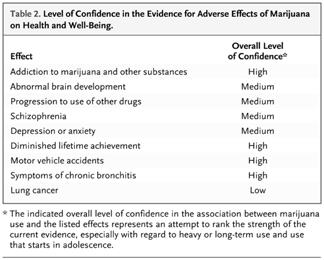 Safety and Public Health Concerns Safety: Occasional and low cumulative marijuana use was not associated with adverse effects on pulmonary function (Pletcher MJ, et al.