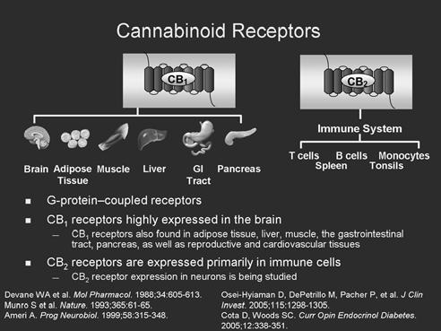 Overview of Cannabinoid Pharmacology