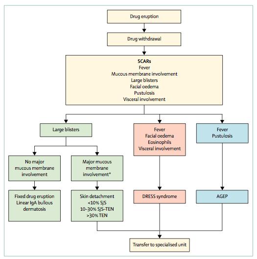 Decisional algorithm for SCARs Tu Anh