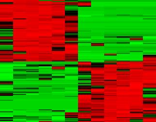 mirna profiling of exosomes from CRPS patients Exosomes purified by ultracentrifugation from the serum log10fc (red:high,black:avg,green:low) 6 control, 6 CRPS patients 127 of 503 detected mirnas in