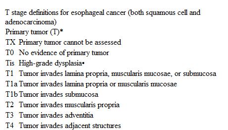 Esophageal Cancer: Endoscopy for cure Only in